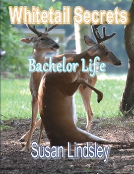 Paperback Whitetail Secrets: Bachelor Life Book