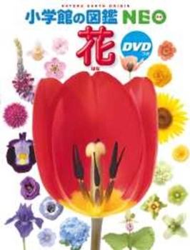 Hardcover Flower (Shogakukan No Zukan Neo) [Japanese] Book