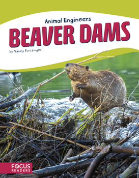 Library Binding Beaver Dams Book