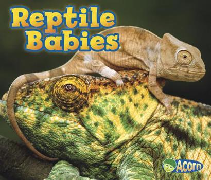 Paperback Reptile Babies Book