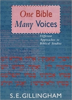 Paperback One Bible, Many Voices: Different Approaches To Biblical Studies Book
