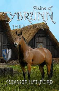 Plains of Tybrunn - Book #4 of the Thrice Born