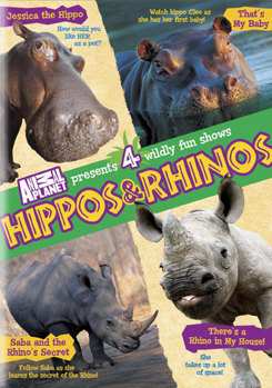 DVD Hippos & Rhinos Book