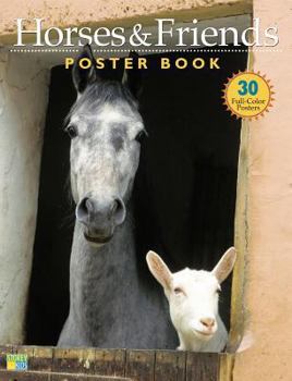 Paperback Horses & Friends Poster Book