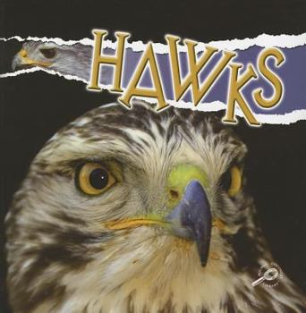 Paperback Hawks Book