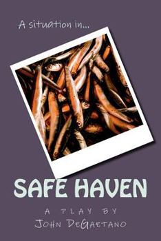 Paperback A Situation in... Safe Haven Book