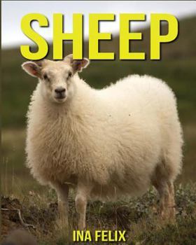 Paperback Sheep: Children Book of Fun Facts & Amazing Photos on Animals in Nature - A Wonderful Sheep Book for Kids aged 3-7 Book