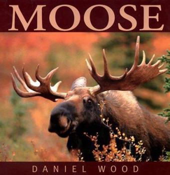 Hardcover Moose Book