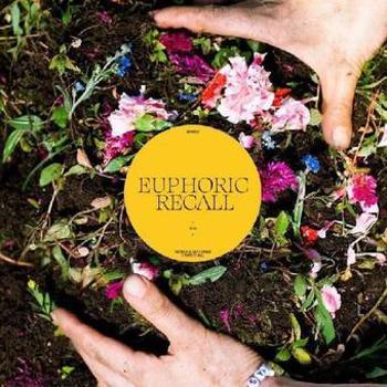 Vinyl Euphoric Recall Book