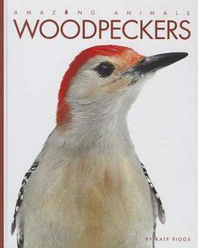 Library Binding Woodpeckers: Y Kate Riggs Book