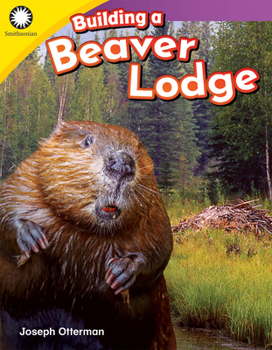 Paperback Building a Beaver Lodge Book