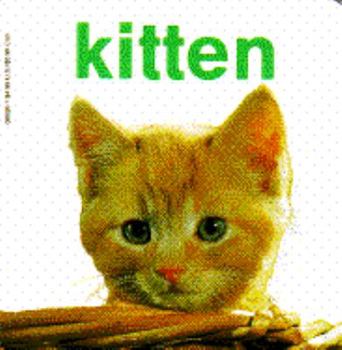 Hardcover Kitten Book