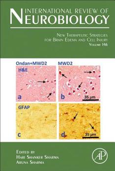 Hardcover New Therapeutic Strategies for Brain Edema and Cell Injury: Volume 146 Book