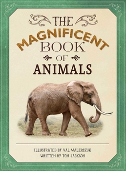 Hardcover The Magnificent Book of Animals Book
