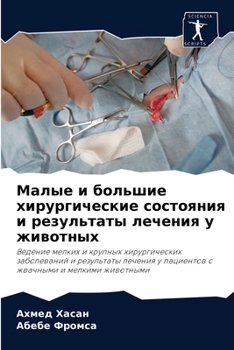 Малые и большие хирургич