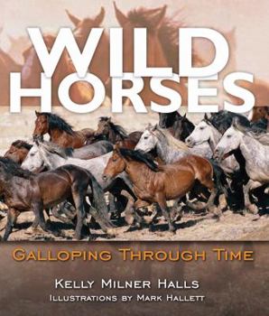 Hardcover Wild Horses: Galloping Through Time Book