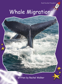 Paperback Whale Migrations (Red Rocket ™ Readers Fluency Level 3) Book