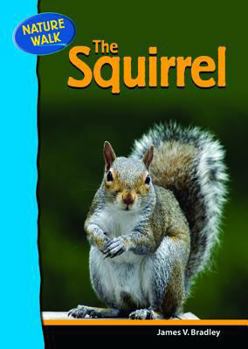 Library Binding The Squirrel Book