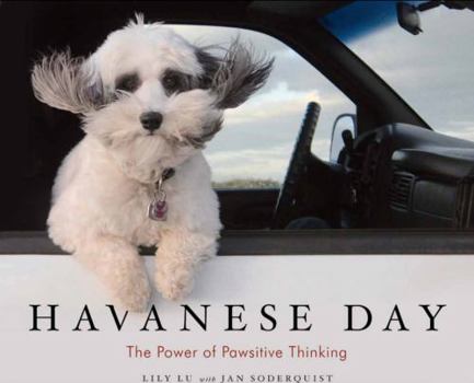 Hardcover Havanese Day : The Power Of Pawsitive Thinking Book