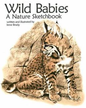 Paperback Wild Babies, a Nature Sketchbook Book