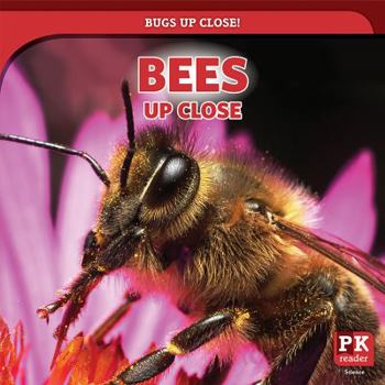 Paperback Bees Up Close Book