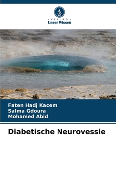 Paperback Diabetische Neurovessie [German] Book