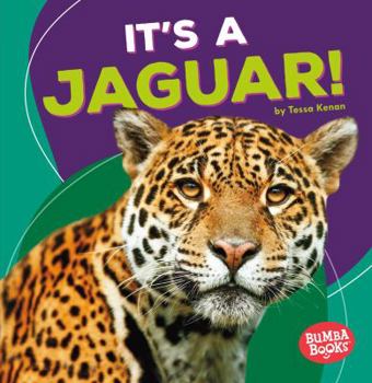 Paperback It's a Jaguar! Book