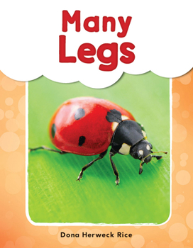 Paperback Many Legs Book