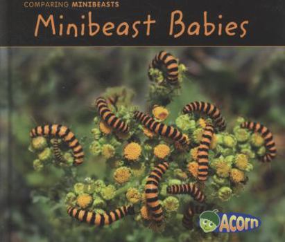 Hardcover Minibeast Babies (Acorn: Comparing Minibeasts) Book