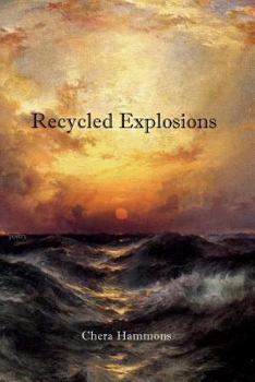 Paperback Recycled Explosions Book