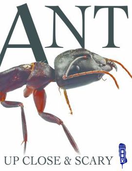 Hardcover Ant Book