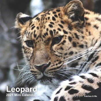 Paperback Leopard: 2021 Mini Calendar Book