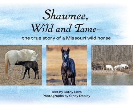 Hardcover Shawnee, Wild and Tame: The True Story of a Missouri Wild Horse Book