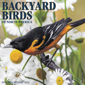 Calendar Backyard Birds 2020 Wall Calendar Book
