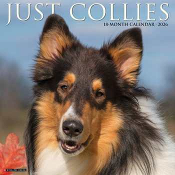 Calendar Collies 2026 Wall Calendar Book