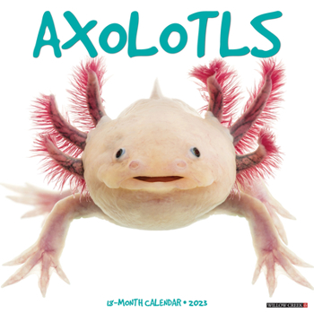 Calendar Axolotls 2023 Wall Calendar Book