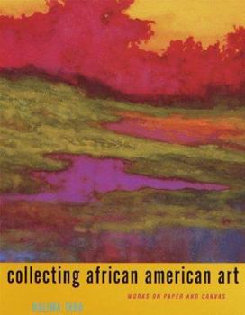 Hardcover Collecting African American Art: Works on Paper and Canvas Book