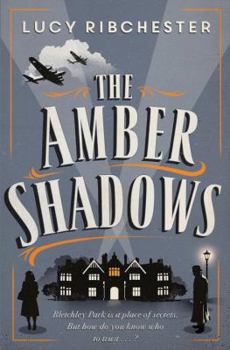 Hardcover The Amber Shadows Book