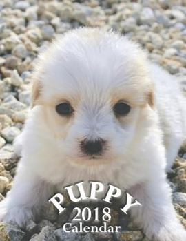 Paperback Puppy 2018 Calendar Book