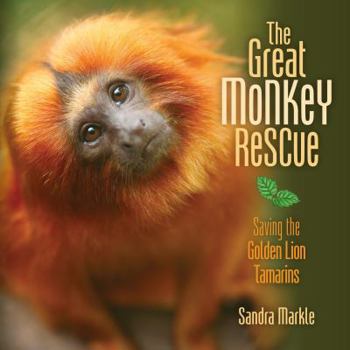 The Great Monkey Rescue - Saving the Golden Lion Mararins - Book  of the Sandra Markle's Science Discoveries