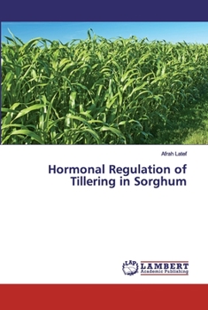 Paperback Hormonal Regulation of Tillering in Sorghum Book