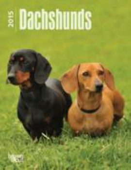 Calendar Dachshunds 2015 Calendar Book
