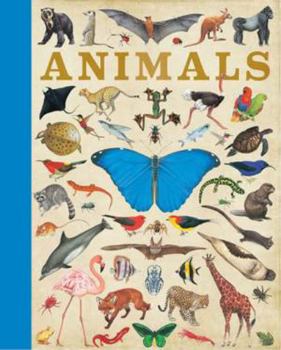 Hardcover Animals Book