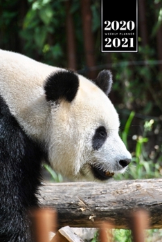 Panda Bear Week Planner Weekly Organizer Calendar 2020 / 2021 - Take a Walk: Cute Wildlife Animal Bullet Journal Notebook Diary in 6” x 9” Inch Pocket Size