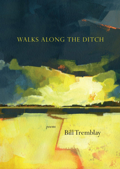 Paperback Walks Along the Ditch: Poems Book