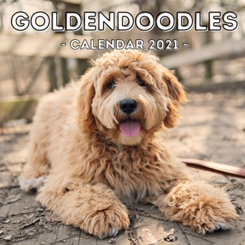 Paperback Goldendoodles: 2021 Calendar, Cute Gift Idea For Goldendoodle Lovers Or Owners Men And Women Book