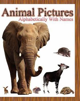 Paperback Animal Pictures Alphabetically with Names Book