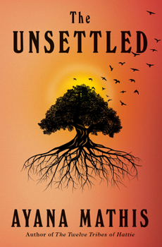 Hardcover The Unsettled Book