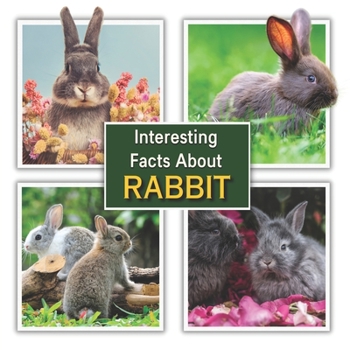Paperback Interesting Facts about Rabbit: Rabbit Educational Wildlife Picture Book for Kids Book