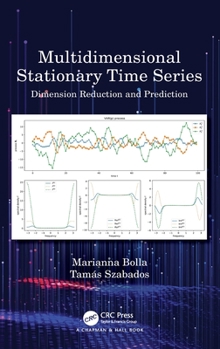 Hardcover Multidimensional Stationary Time Series: Dimension Reduction and Prediction Book